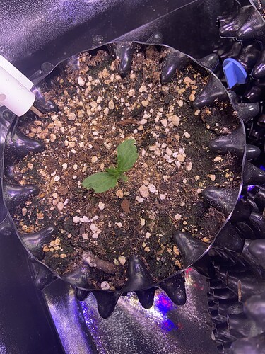 Growreport Bild 15