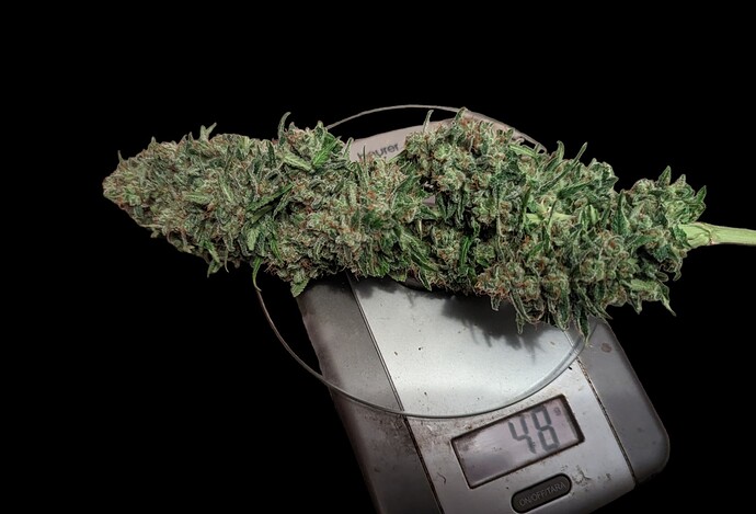 Growreport Bild 24
