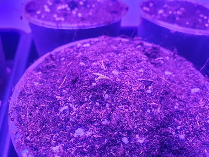 20231014_105842 - Kopie