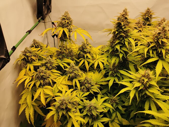Growreport Bild 13