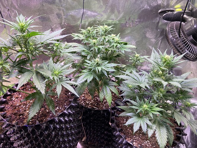 Growreport Bild 21