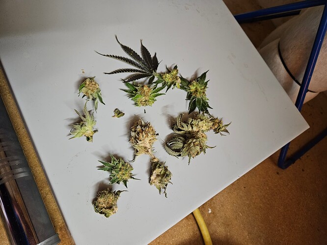 Growreport Bild 10