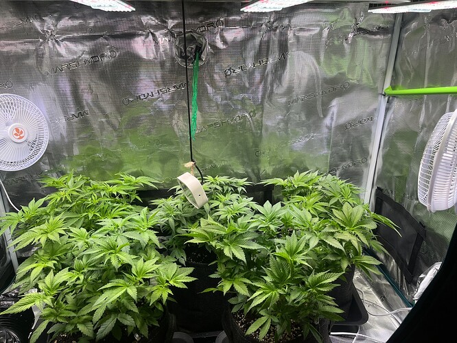 Growreport Bild 13