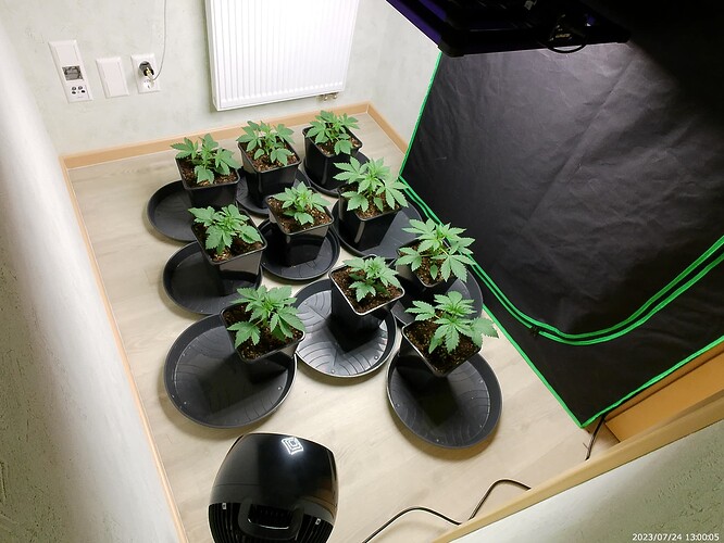 Growreport Bild 2