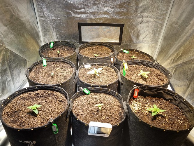 Growreport Bild 11