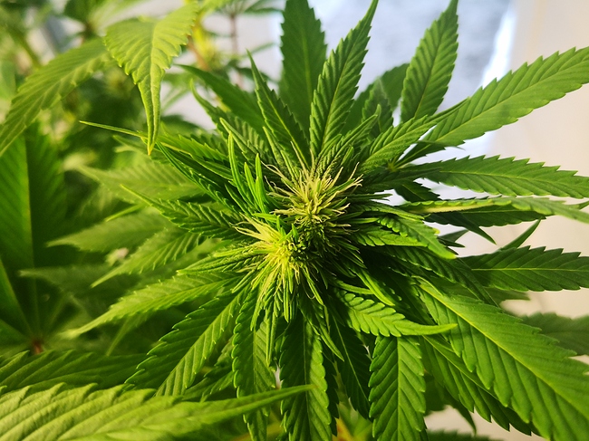 Growreport Bild 17