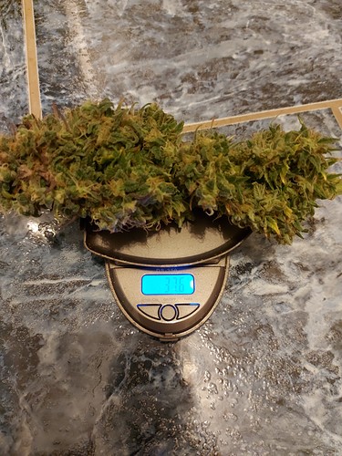 Growreport Bild 11
