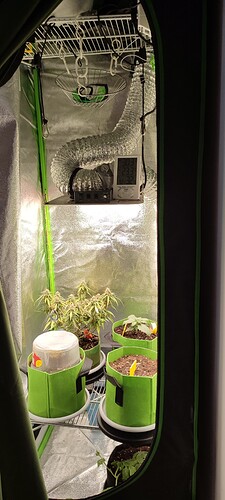Growreport Bild 32