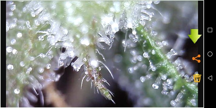 Screenshot_20230608-203744