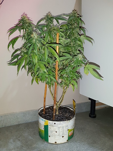 Growreport Bild 10