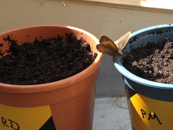 Growreport Bild 2
