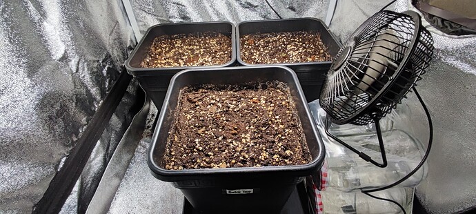 Growreport Bild 3