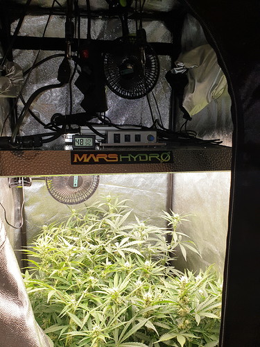 Growreport Bild 7