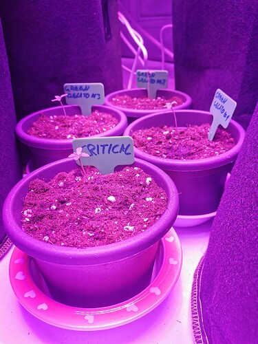 Growreport Bild 15