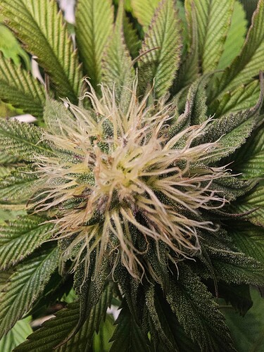 Growreport Bild 11