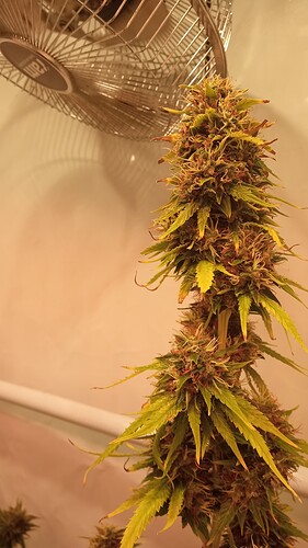 Growreport Bild 11