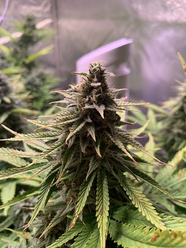 Growreport Bild 16