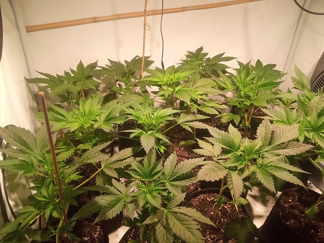 Growreport Bild 22