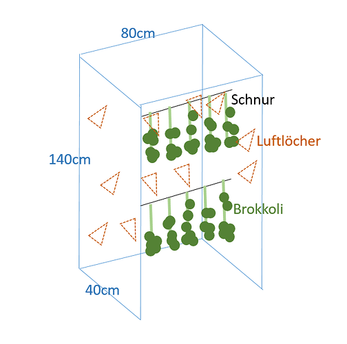 Growreport Bild 1