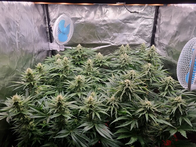Growreport Bild 12