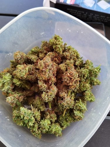 Growreport Bild 3