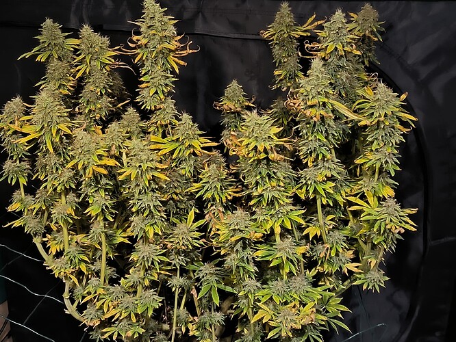 Growreport Bild 17