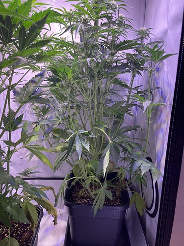 Growreport Bild 10