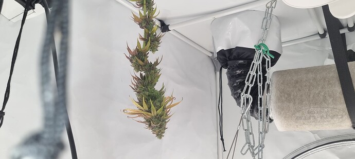 Growreport Bild 13