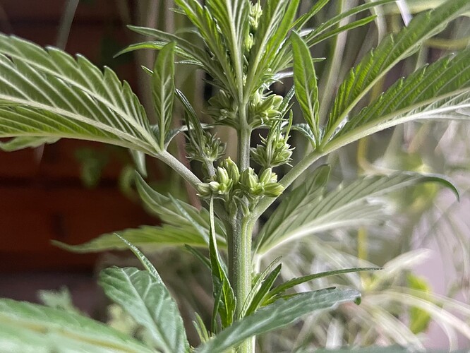 Growreport Bild 9