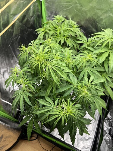 Growreport Bild 26