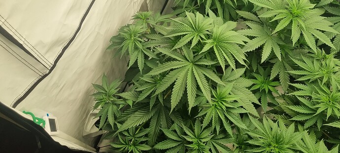 Growreport Bild 16