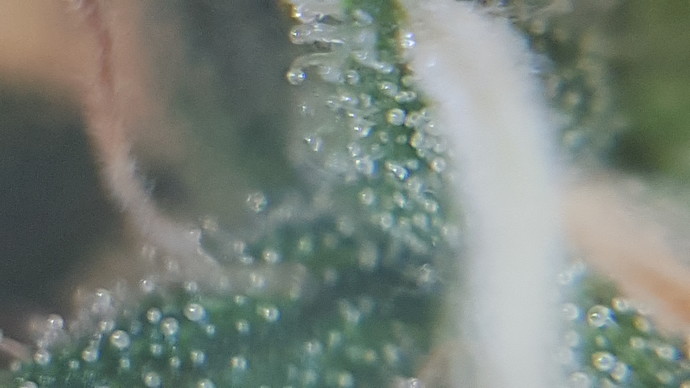 20210214_182046