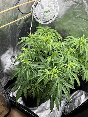 Growreport Bild 18