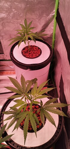IMG_20220124_151151
