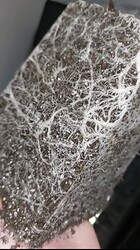 Screenshot_20231218_231347_Snapchat