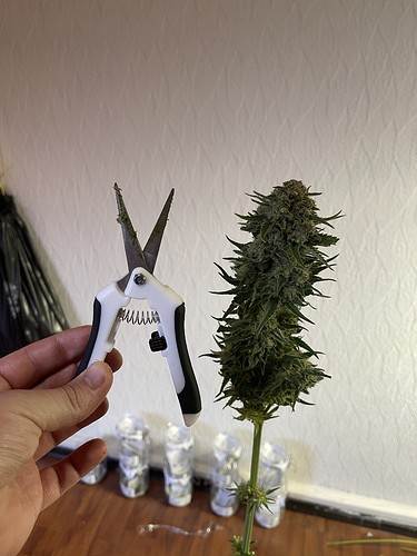 Growreport Bild 11