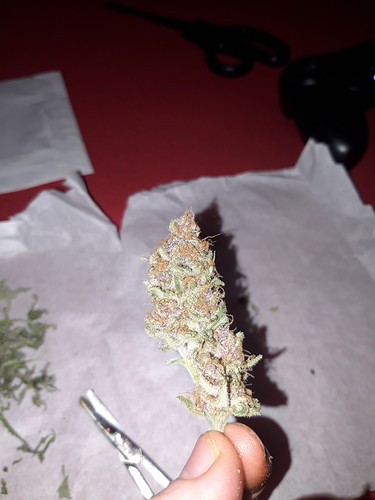 Growreport Bild 6