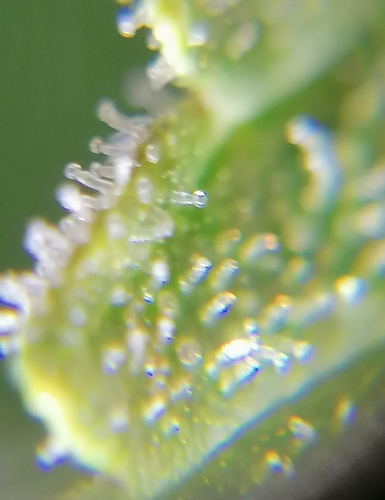 Growreport Bild 11