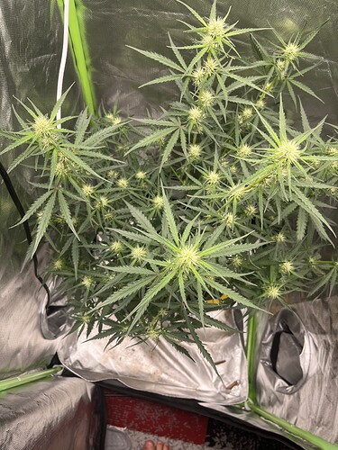 Growreport Bild 12
