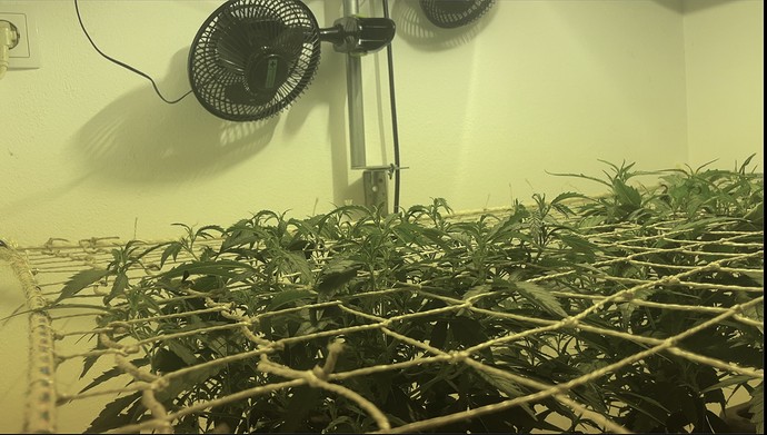 Growreport Bild 23