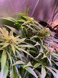 Growreport Bild 16