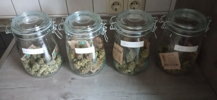 Growreport Bild 1