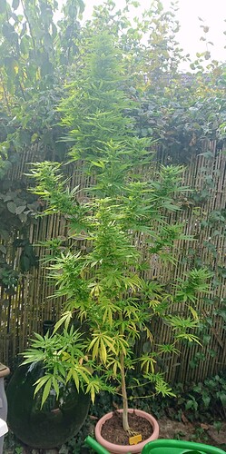 Growreport Bild 5