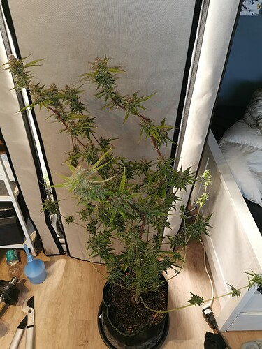 Growreport Bild 10