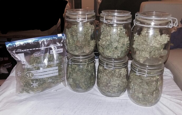 ALLES MUSS RAUS GROW! 5x Querbeet! Vom Kühlschrank in den Keller - DER KAMPF GEHT WEITER! - DUDE VS. LEITUNGSWASSER - [Abgeschlossen]