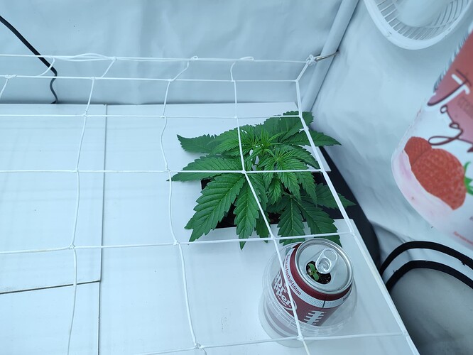 Growreport Bild 24