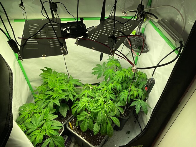 Growreport Bild 10