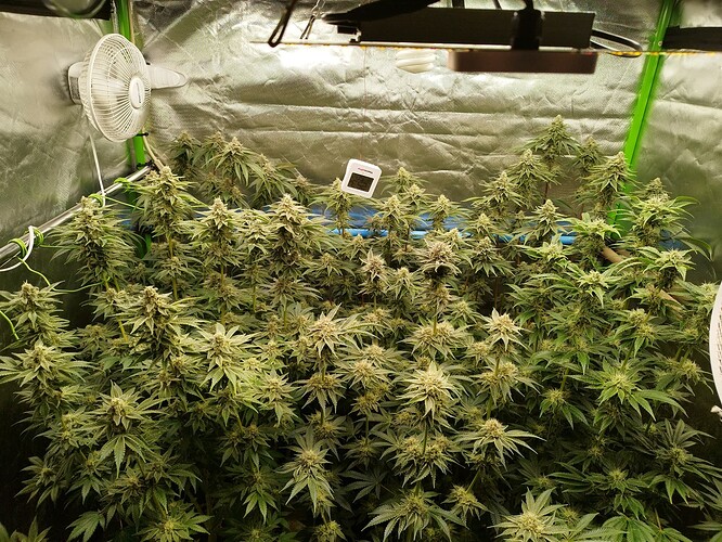 Growreport Bild 16
