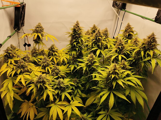 Growreport Bild 8