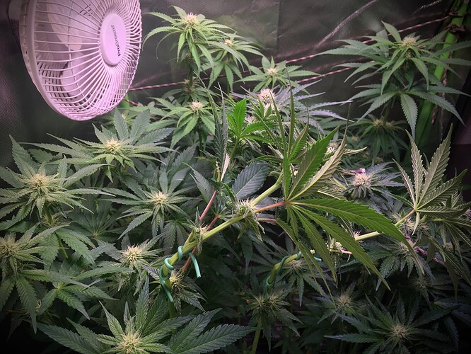 Growreport Bild 16